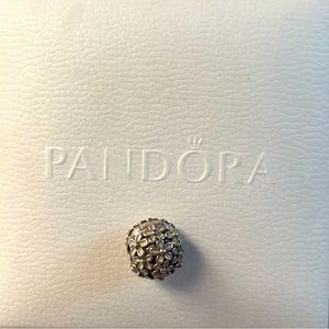 Pandora charm